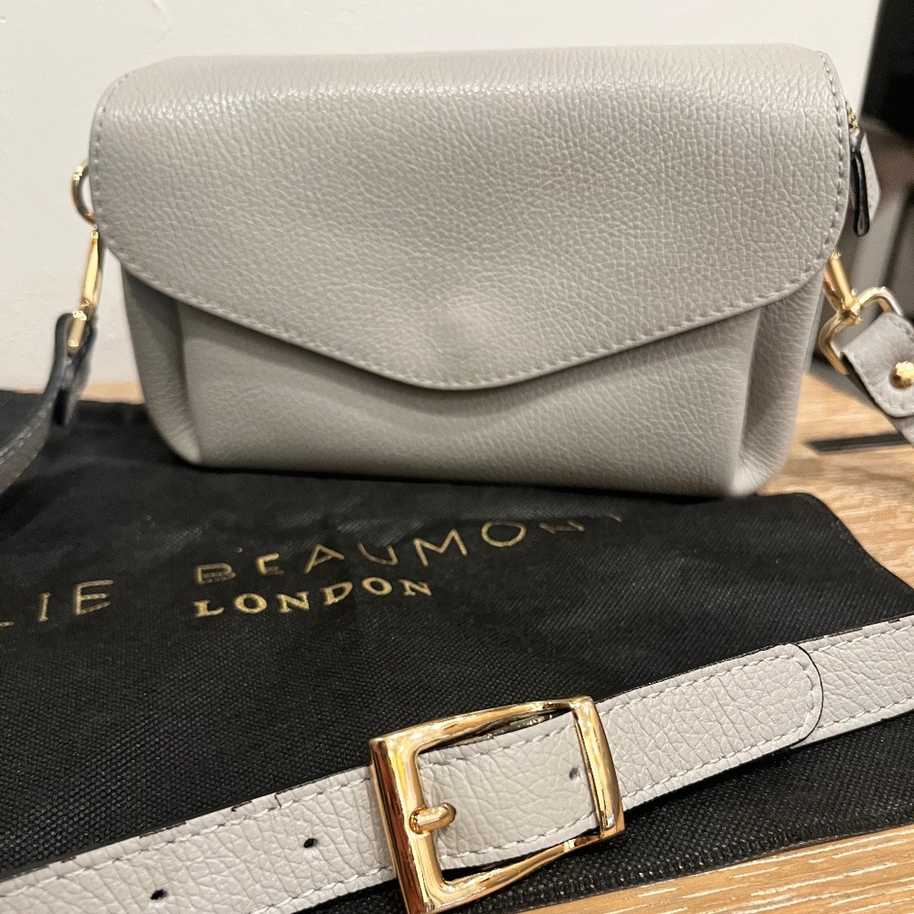 Elie Beaumont Crossbody Envelope Bag